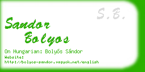 sandor bolyos business card
